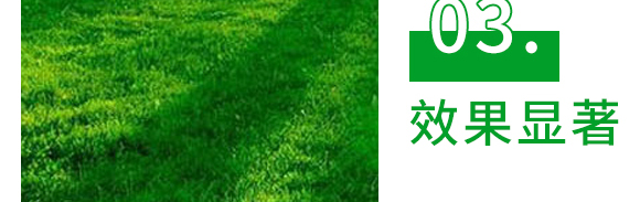 5g�fù�`ˮ��ɢ����-����-�L�p�rˎ