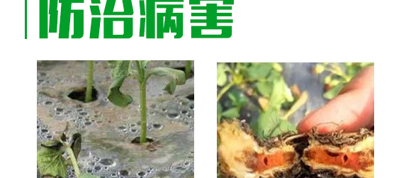 5g�fù�`ˮ��ɢ����-����-�L�p�rˎ