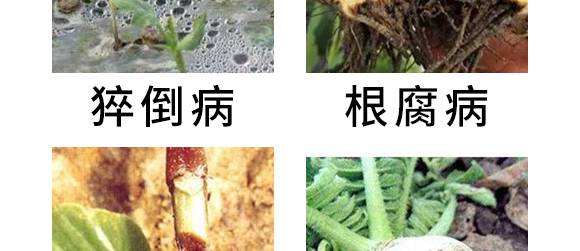 5g�fù�`ˮ��ɢ����-����-�L�p�rˎ