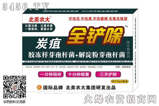 辣椒炭疽病傳染嗎 辣椒炭疽病癥狀及防治方法 辣椒炭疽病傳染嗎 辣椒炭疽病癥狀及防治方法