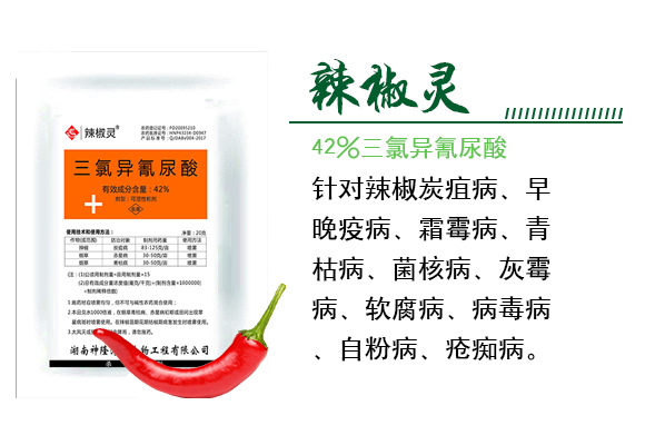 42%涓夋隘寮傛鞍灝塊吀-杈f鐏礯03.jpg 42%涓夋隘寮傛鞍灝塊吀-杈f鐏礯03.jpg