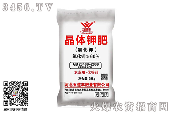 �����Ј��r��С�����{��2020-10-13���؃r�������r