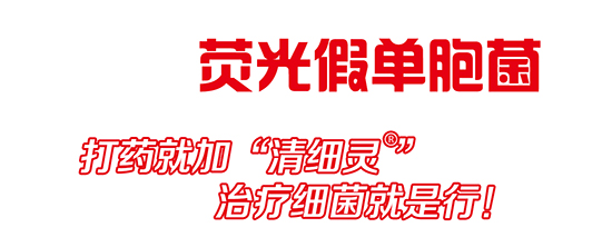 �ɹ�نμ���-���t-�r��