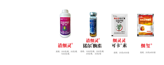 �ɹ�نμ���-���t-�r��