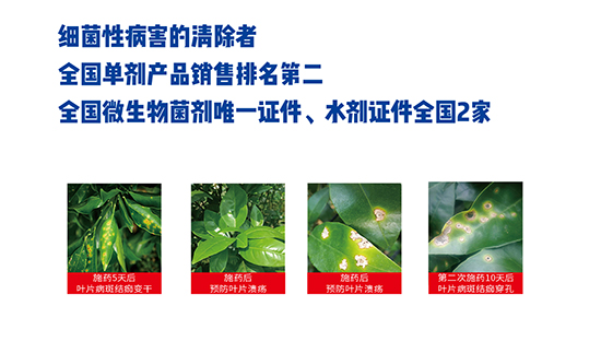 �ɹ�نμ���-���t-�r��