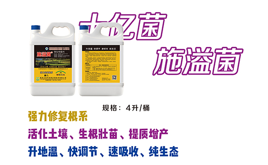 9-10_02.jpg 9-10_02.jpg