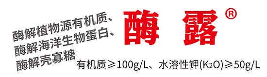 �ЙCˮ�ܷ���-ø¶-�r��