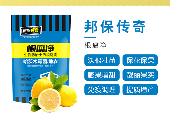 鏍硅厫鍑-閭︿繚浼犲-閭︿繚鑲ヤ笟_03.jpg 鏍硅厫鍑-閭︿繚浼犲-閭︿繚鑲ヤ笟_03.jpg