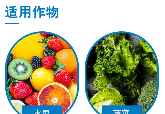 鏍硅厫鍑-閭︿繚浼犲-閭︿繚鑲ヤ笟_04.jpg 鏍硅厫鍑-閭︿繚浼犲-閭︿繚鑲ヤ笟_04.jpg