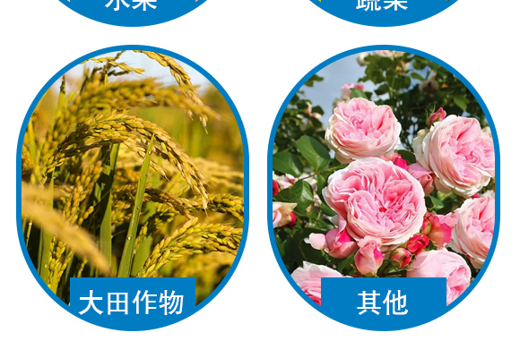 鏍硅厫鍑-閭︿繚浼犲-閭︿繚鑲ヤ笟_05.jpg 鏍硅厫鍑-閭︿繚浼犲-閭︿繚鑲ヤ笟_05.jpg