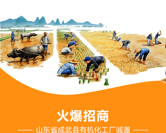 灞變笢鐪佹垚姝﹀幙鏈夋満鍖栧伐鍘傝鎯呴〉_08.jpg 灞變笢鐪佹垚姝﹀幙鏈夋満鍖栧伐鍘傝鎯呴〉_08.jpg