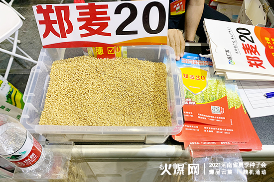 河南鑫廣發種業邀您聚首2021河南省夏季種子會! 河南鑫廣發種業邀您聚首2021河南省夏季種子會!