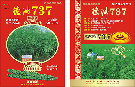 油菜�U�子-��h�a737-恒禾�U�业2.jpg