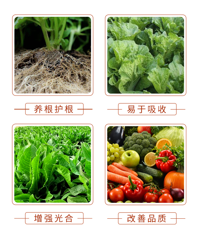 鑲藉吇-鏂藉皬鑲05.jpg 鑲藉吇-鏂藉皬鑲05.jpg