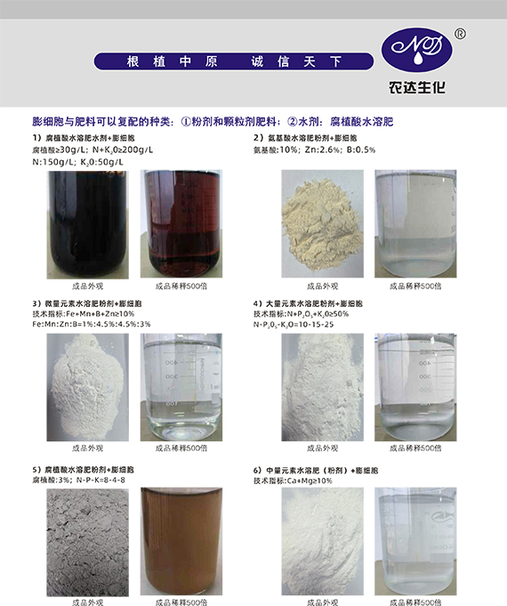 鑶ㄧ粏鑳?2.jpg 鑶ㄧ粏鑳?2.jpg