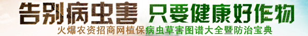 火爆農資招商網【3456.TV】病蟲草害圖譜欄目收錄了大量作物病蟲草害相關圖片信息及病蟲草害防治技術