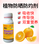 �����r�󼯈F