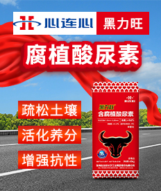 �������B�Ļ��W���I���F�ɷ����޹�˾