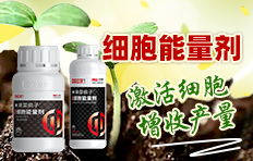 �б����r���������r�I�Ƽ��lչ���޹�˾