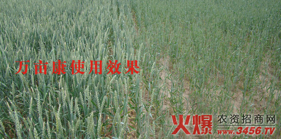 �����f��������Ƽ����޹�˾