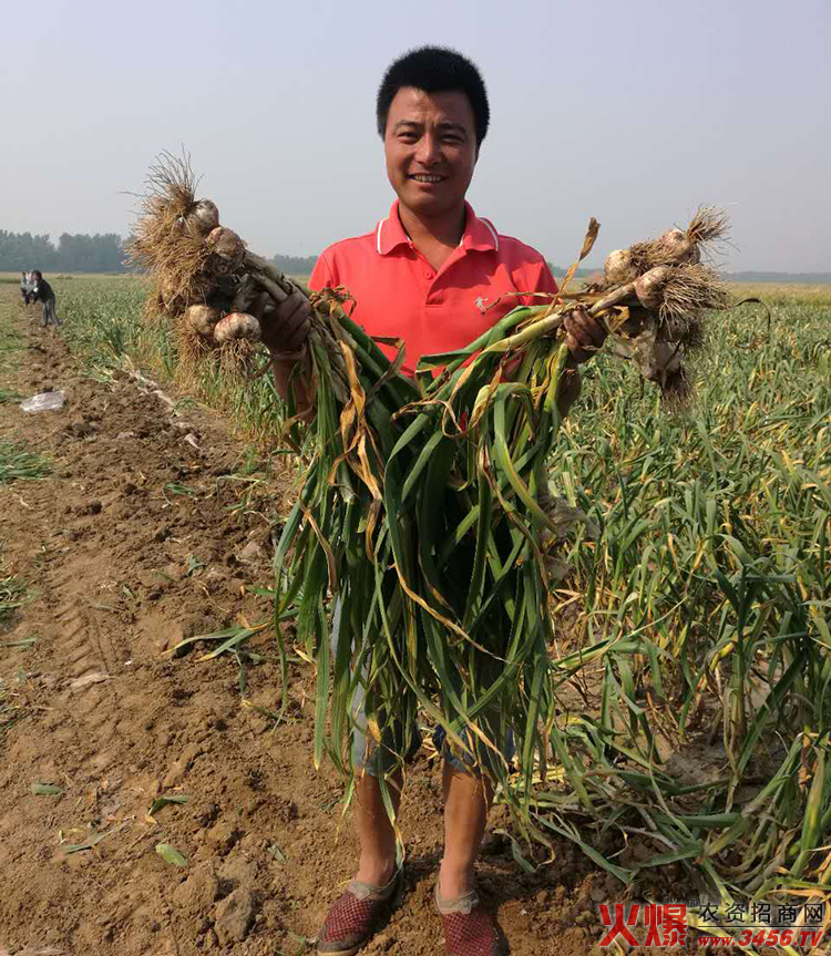 ����ʡ���������ﱣ�o���޹�˾