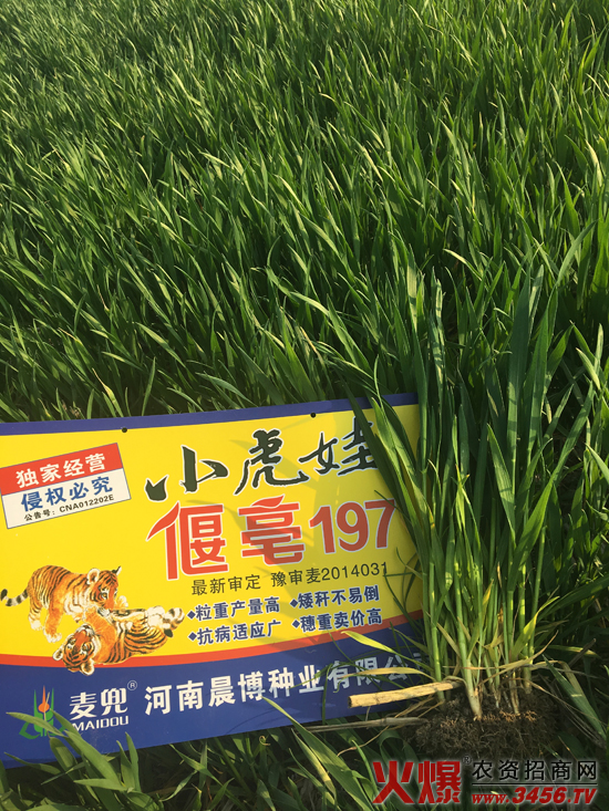 ���ϳ����N�I���޹�˾