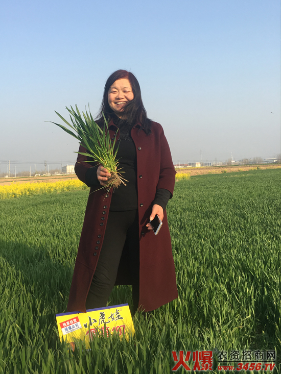 ���ϳ����N�I���޹�˾