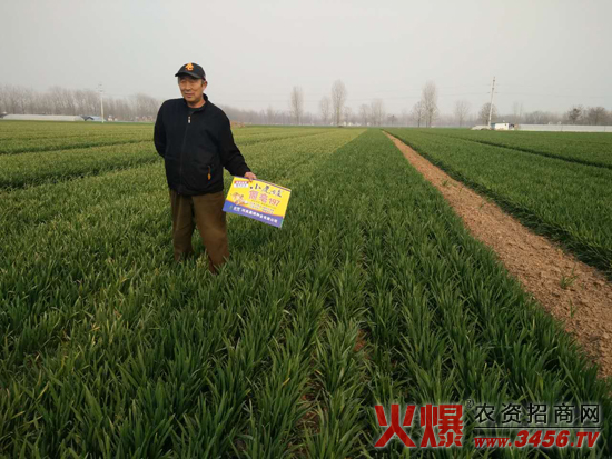 ���ϳ����N�I���޹�˾