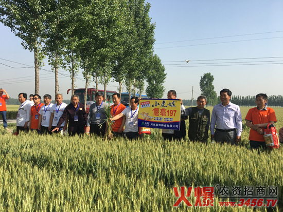 ���ϳ����N�I���޹�˾