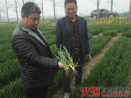 ���ϳ����N�I���޹�˾