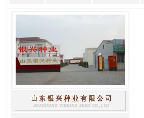 ɽ�|�y�d�N�I�ɷ����޹�˾