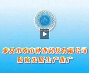 ̩����̩ɽ�N�I�Ƽ����޹�˾