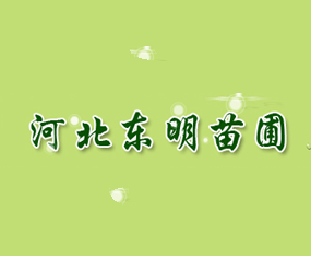 �ӱ��|������