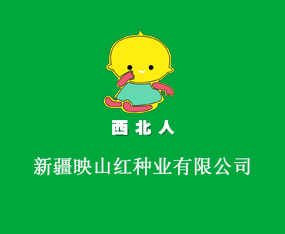 �½�ӳɽ�t�N�I���޹�˾