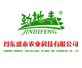 ���|ʢ̩�r�I�Ƽ����޹�˾