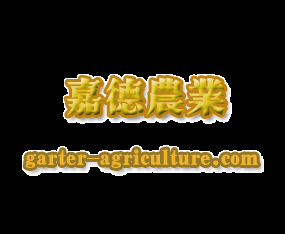 ���B�ε��r�I�lչ���޹�˾