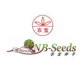 �V���r���N�����޹�˾