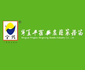 ����ƽ�_�d�r�N�I���޹�˾