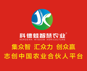 ���տƵ����ǻ��r�I���޹�˾