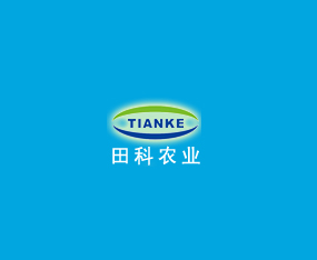 �ӱ�����r�I�Ƽ��_�l���޹�˾