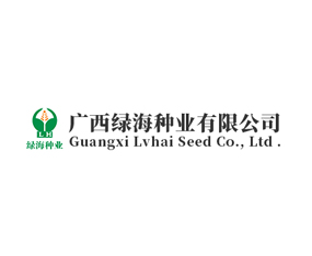 �V���G���N�I���޹�˾