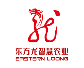 ������ʡ�|�����ǻ��r�I�lչ���޹�˾