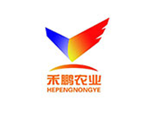 ����ʡ���i�r�I���g�_�l���޹�˾