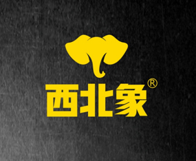 ɽ������������Ƽ����޹�˾