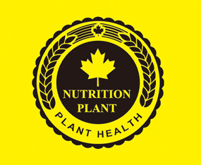 �ЅR��ɽ�|���r�I���F���޹�˾