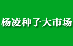 楊凌種子大市場