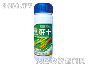 ���S˹��ʮ