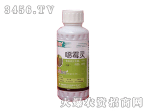 ������ù�`