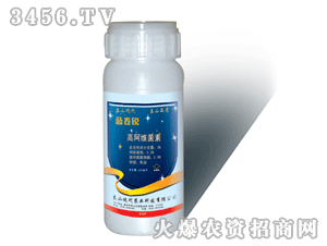 ̩ɽ�F���{���J