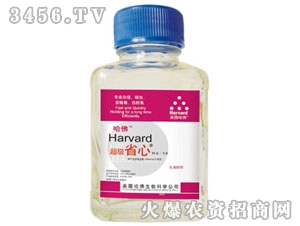 ����ʡ��